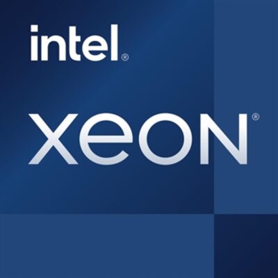 Procesador intel xeon e – 2324g lga1200 3.1ghz 4 core